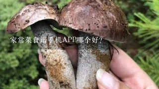 家常菜食谱手机APP哪个好?