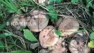 茶树菇煲什么汤