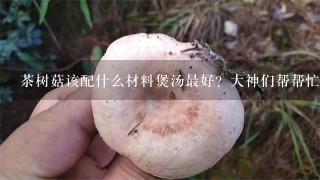 茶树菇该配什么材料煲汤最好？大神们帮帮忙