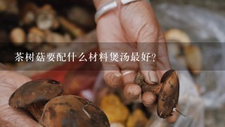 茶树菇要配什么材料煲汤最好？