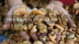 32种菇类品种 有关32种菇类品种