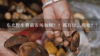 东北野生蘑菇市场如何？？都有什么用处？？主要在那些地区销售？？