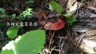 各种家常菜菜谱