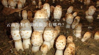 云南的野生菌的做法有哪些？