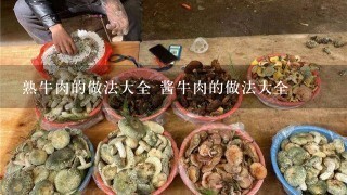 熟牛肉的做法大全 酱牛肉的做法大全