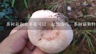 茶树菇和虫草花可以一起煲汤吗，茶树菇和什么煲汤最