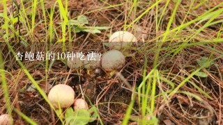 杏鲍菇的10种吃法？