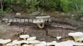 茶树菇炖排骨汤还能放什么