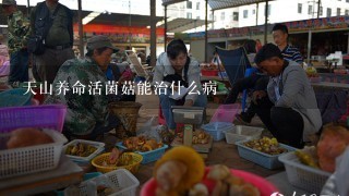 天山养命活菌菇能治什么病