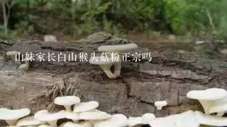 山妹家长白山猴头菇粉正宗吗