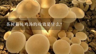 茶树菇炖鸡汤的功效是什么？