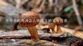 坐月子的鸡汤怎么炖既下奶又有营养