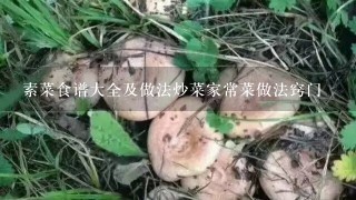 素菜食谱大全及做法炒菜家常菜做法窍门