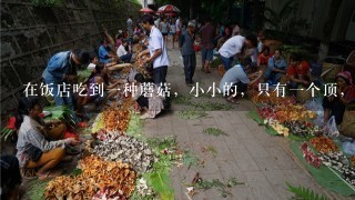 在饭店吃到一种蘑菇，小小的，只有一个顶，黑褐色，