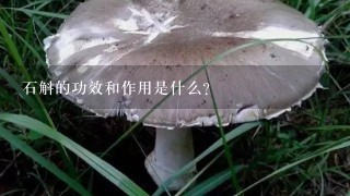 石斛的功效和作用是什么？