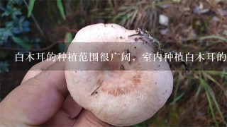 白木耳的种植范围很广阔，室内种植白木耳的利润怎么