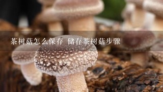 茶树菇怎么保存 储存茶树菇步骤