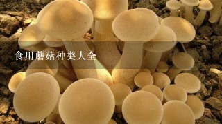 食用蘑菇种类大全