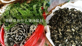 茶树菇和什么煲汤最好