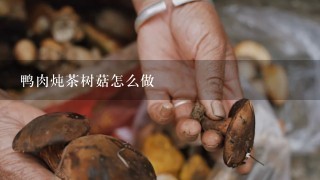 鸭肉炖茶树菇怎么做