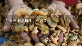 白玉菇不能和什么一起吃