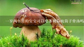 一岁两个月的宝宝可以吃茶树菇炖筒子骨汤吗