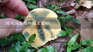 炖鸡汤放哪些配菜最好？