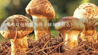 黑木耳包装袋内的干燥剂是什么？