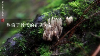 熬筒子骨汤的正确方法