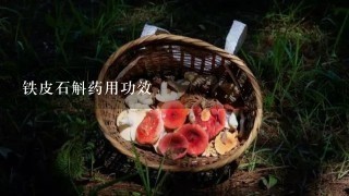 铁皮石斛药用功效