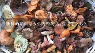 新鲜的茶树菇要炒着吃的话,应该怎么炒?