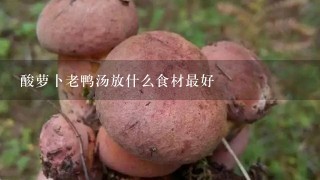 酸萝卜老鸭汤放什么食材最好