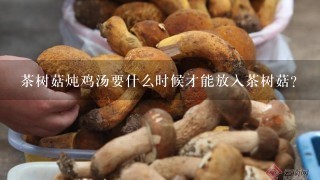 茶树菇炖鸡汤要什么时候才能放入茶树菇？