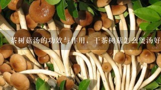 茶树菇汤的功效与作用，干茶树菇怎么煲汤好喝