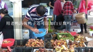 用老鸭汤炖鸭子还可以加白豆腐吗？