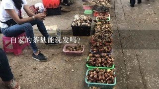 自家的茶麸能洗发吗？