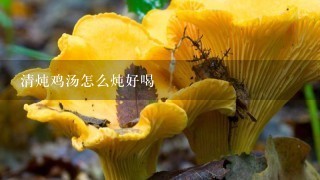 清炖鸡汤怎么炖好喝