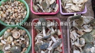 又细又长的白色蘑菇是什么蘑菇？