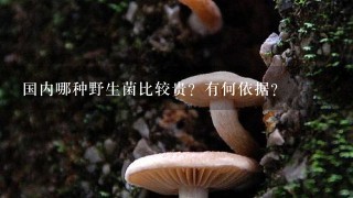 国内哪种野生菌比较贵？有何依据？