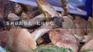 茶树菇跟什么一起炖好吃