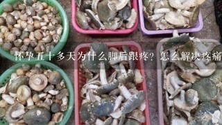 怀孕五十多天为什么脚后跟疼？怎么解决疼痛