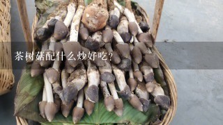 茶树菇配什么炒好吃？