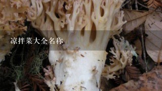 凉拌菜大全名称