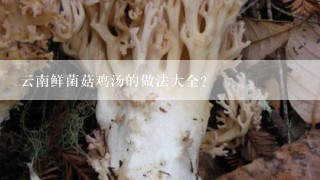 云南鲜菌菇鸡汤的做法大全？
