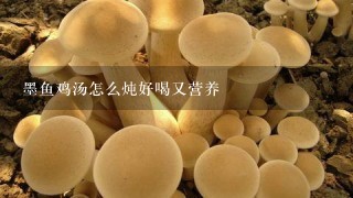 墨鱼鸡汤怎么炖好喝又营养