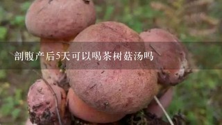 剖腹产后5天可以喝茶树菇汤吗