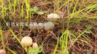 特色家常菜菜谱大全