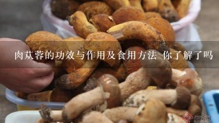 肉苁蓉的功效与作用及食用方法 你了解了吗