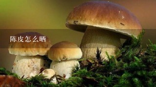 陈皮怎么晒