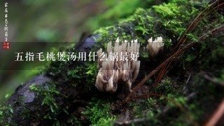 五指毛桃煲汤用什么锅最好